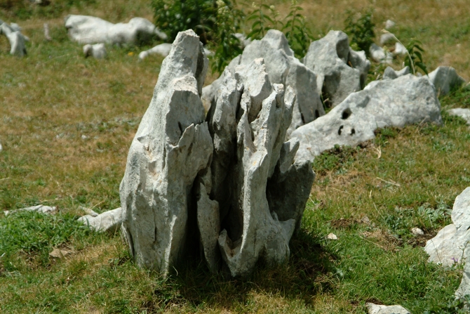 Sculture naturali